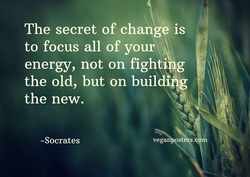 The secret of change is to focus all of your energy, not on fighting the old, but on building the new.