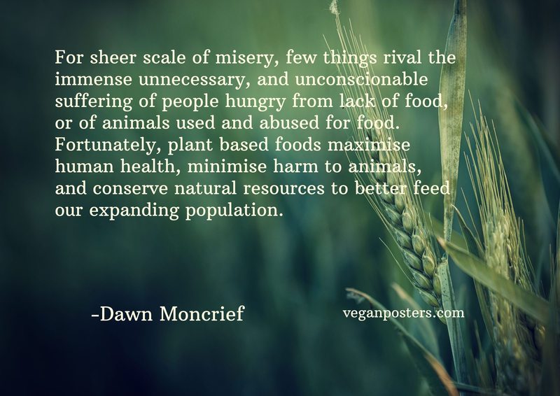 For sheer scale of misery, few things rival the immense unnecessary, and unconscionable suffering of people hungry from lack of food, or of animals used and abused for food. Fortunately, plant based foods maximise human health, minimise harm to animals, and conserve natural resources to better feed our expanding population.