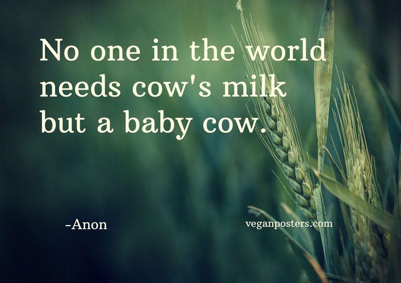 No one in the world needs cow's milk but a baby cow.