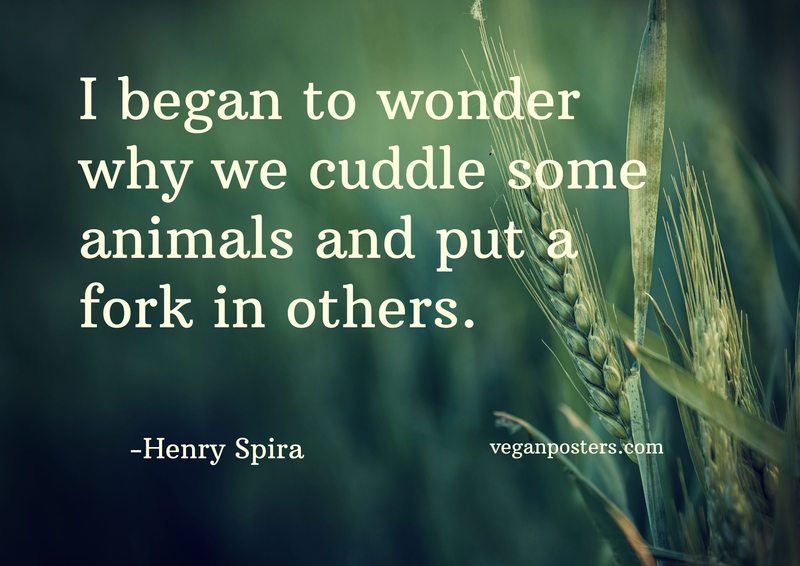 I began to wonder why we cuddle some animals and put a fork in others.