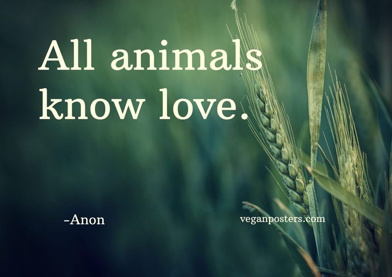 All animals know love.