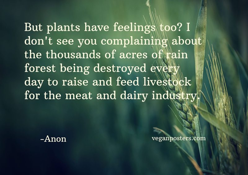 But plants have feelings too? I don't see you complaining about the thousands of acres of rain forest being destroyed every day to raise and feed livestock for the meat and dairy industry.