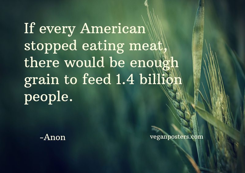 If every American stopped eating meat, there would be enough grain to feed 1.4 billion people.