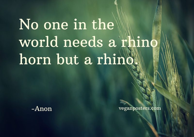 No one in the world needs a rhino horn but a rhino.