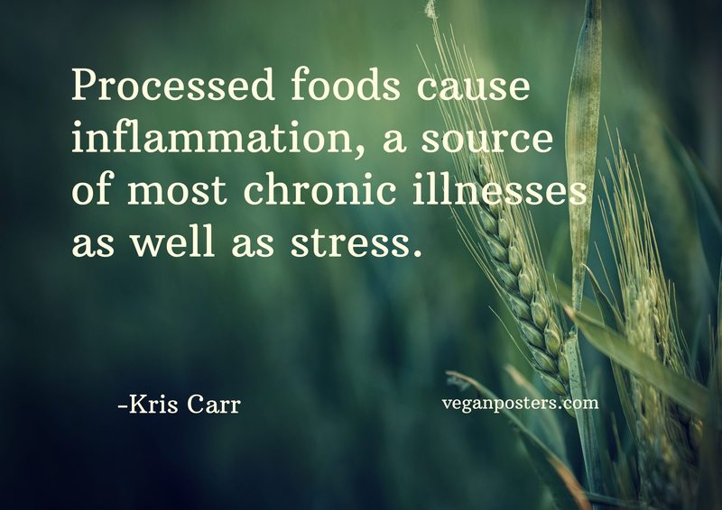 Processed foods cause inflammation, a source of most chronic illnesses as well as stress.