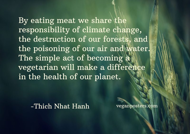 By eating meat we share the responsibility of climate change, the destruction of our forests, and the poisoning of our air and water. The simple act of becoming a vegetarian will make a difference in the health of our planet.