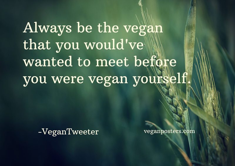Always be the vegan that you would've wanted to meet before you were vegan yourself.