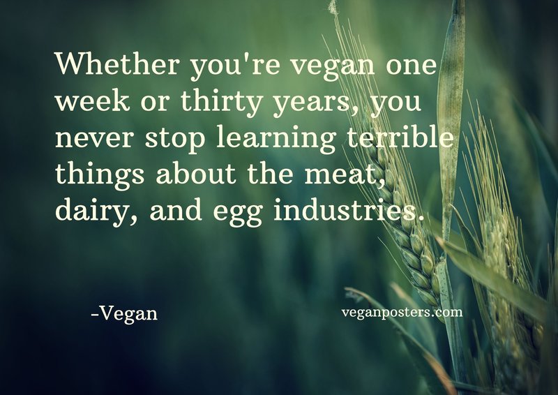 Whether you're vegan one week or thirty years, you never stop learning terrible things about the meat, dairy, and egg industries.