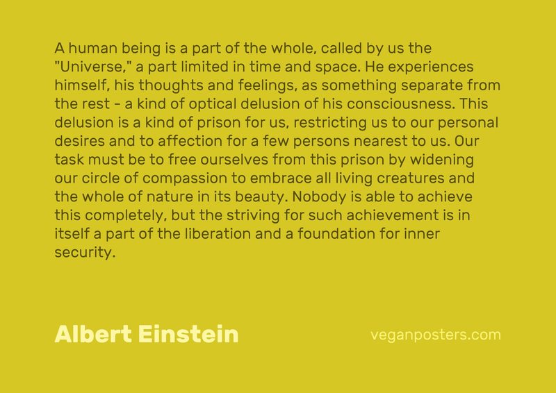A human being is a part of the whole, called by us the "Universe," a part limited in time and space. He experiences himself, his thoughts and feelings, as something separate from the rest - a kind of optical delusion of his consciousness. This delusion is a kind of prison for us, restricting us to our personal desires and to affection for a few persons nearest to us. Our task must be to free ourselves from this prison by widening our circle of compassion to embrace all living creatures and the whole of nature in its beauty. Nobody is able to achieve this completely, but the striving for such achievement is in itself a part of the liberation and a foundation for inner security.
