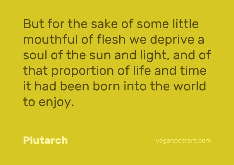 But for the sake of some little mouthful of flesh we deprive a soul of the sun and light, and of that proportion of life and time it had been born into the world to enjoy.
