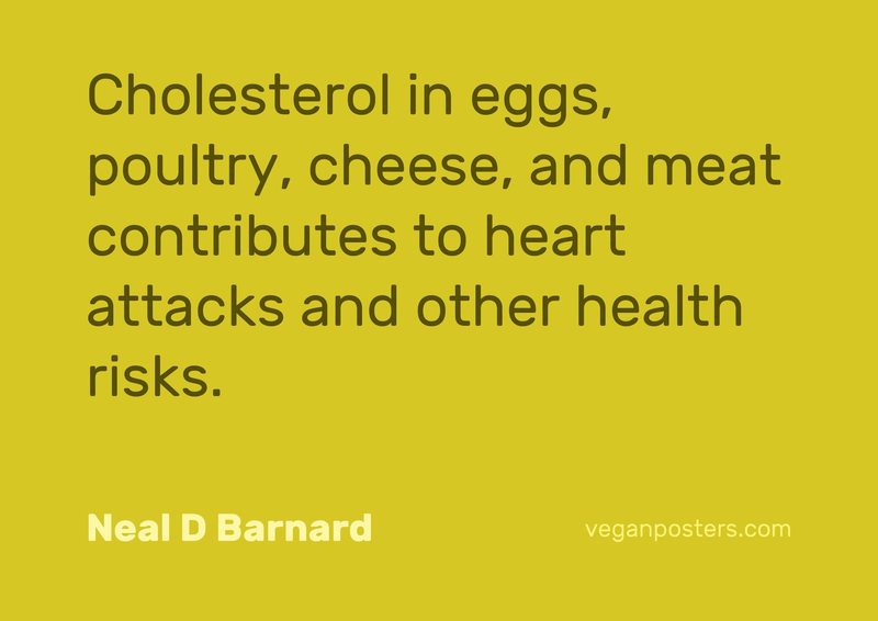 Cholesterol in eggs, poultry, cheese, and meat contributes to heart attacks and other health risks.