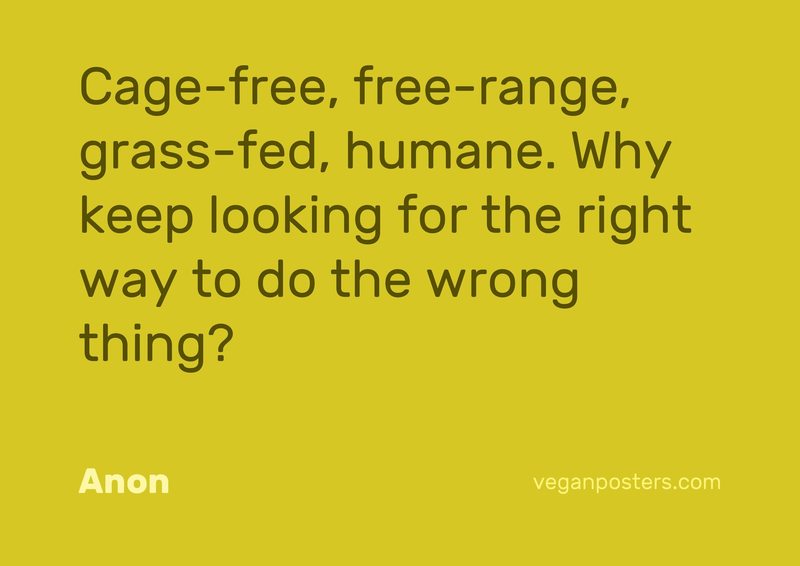 Cage-free, free-range, grass-fed, humane. Why keep looking for the right way to do the wrong thing?