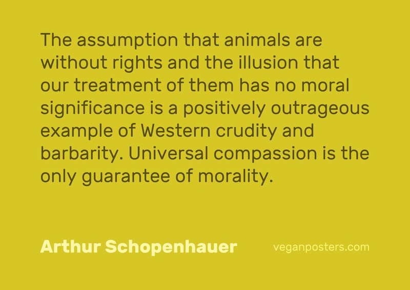 The assumption that animals are without rights and the illusion that our treatment of them has no moral significance is a positively outrageous example of Western crudity and barbarity. Universal compassion is the only guarantee of morality.