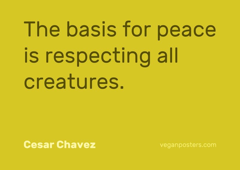 The basis for peace is respecting all creatures.