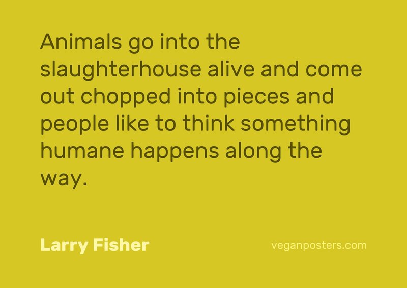 Animals go into the slaughterhouse alive and | Vegan Posters