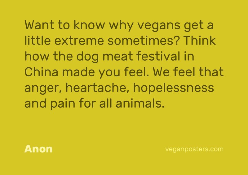Want to know why vegans get a little extreme sometimes? Think how the dog meat festival in China made you feel. We feel that anger, heartache, hopelessness and pain for all animals.