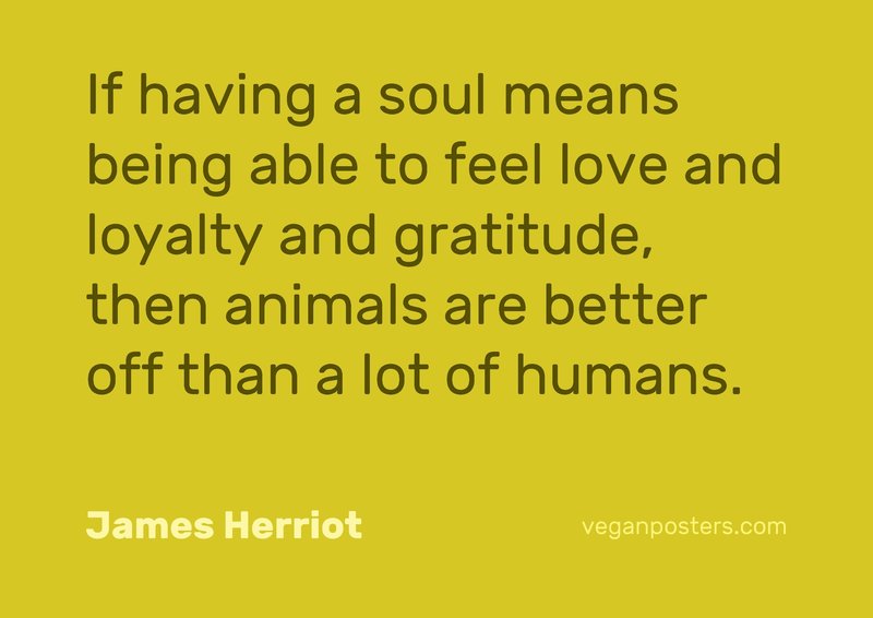 If having a soul means being able to feel love and loyalty and gratitude, then animals are better off than a lot of humans.