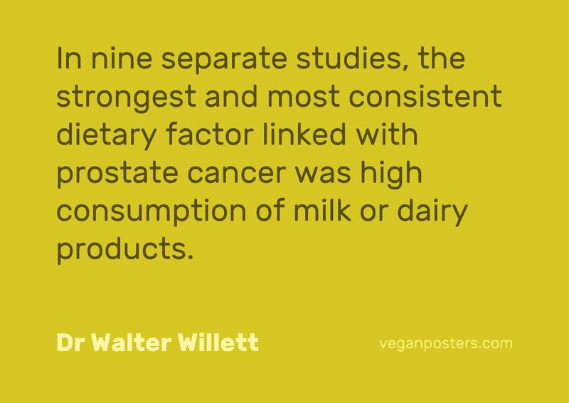 In nine separate studies, the strongest and most consistent dietary factor linked with prostate cancer was high consumption of milk or dairy products.