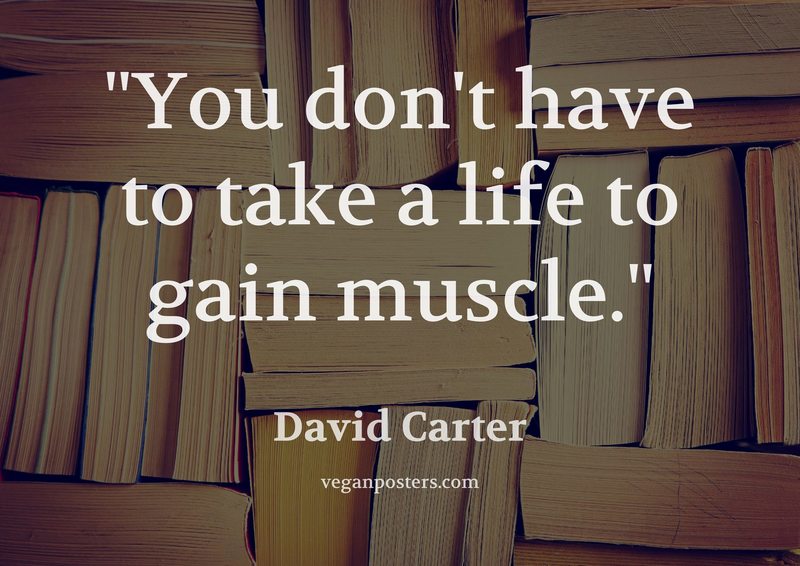 You don't have to take a life to gain muscle.