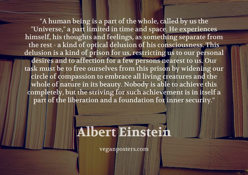 A human being is a part of the whole, called by us the "Universe," a part limited in time and space. He experiences himself, his thoughts and feelings, as something separate from the rest - a kind of optical delusion of his consciousness. This delusion is a kind of prison for us, restricting us to our personal desires and to affection for a few persons nearest to us. Our task must be to free ourselves from this prison by widening our circle of compassion to embrace all living creatures and the whole of nature in its beauty. Nobody is able to achieve this completely, but the striving for such achievement is in itself a part of the liberation and a foundation for inner security.
