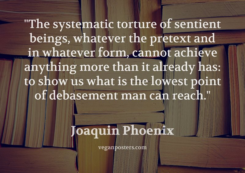 The systematic torture of sentient beings, whatever the pretext and in whatever form, cannot achieve anything more than it already has: to show us what is the lowest point of debasement man can reach.