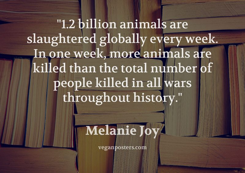 1.2 billion animals are slaughtered globally every week. In one week, more animals are killed than the total number of people killed in all wars throughout history.