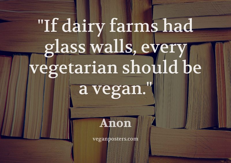 If dairy farms had glass walls, every vegetarian should be a vegan.