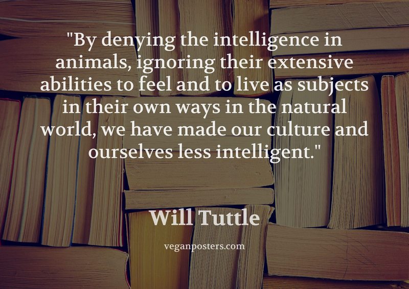 By denying the intelligence in animals, ignoring their extensive abilities to feel and to live as subjects in their own ways in the natural world, we have made our culture and ourselves less intelligent.