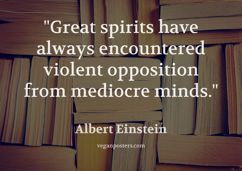 Great spirits have always encountered violent opposition from mediocre minds.