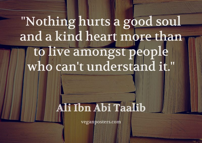 Nothing hurts a good soul and a kind heart more than to live amongst people who can't understand it.