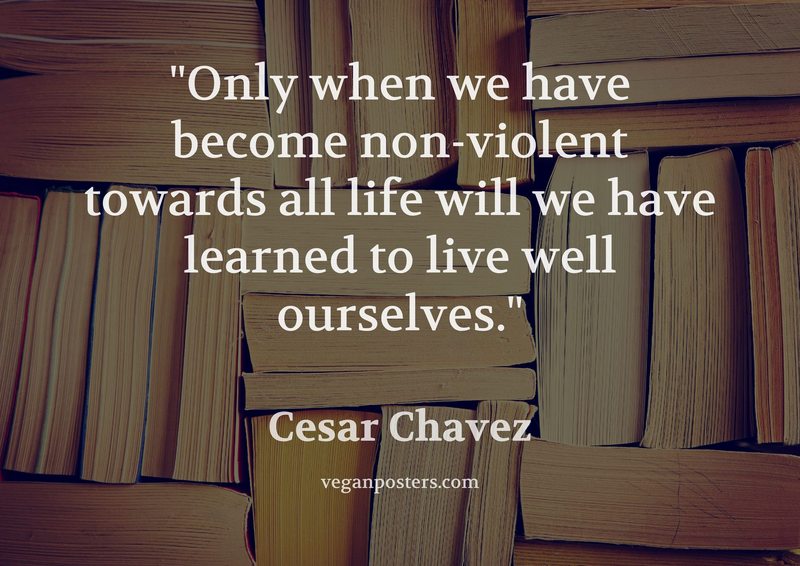 Only when we have become non-violent towards all life will we have learned to live well ourselves.