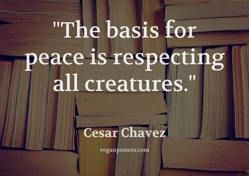 The basis for peace is respecting all creatures.