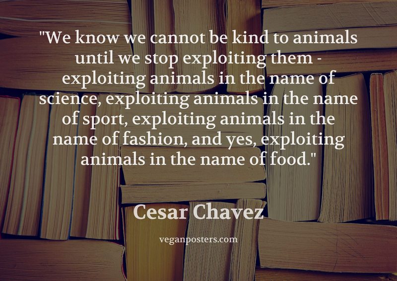 We know we cannot be kind to animals until we stop exploiting them - exploiting animals in the name of science, exploiting animals in the name of sport, exploiting animals in the name of fashion, and yes, exploiting animals in the name of food.