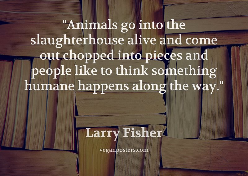 Animals go into the slaughterhouse alive and | Vegan Posters
