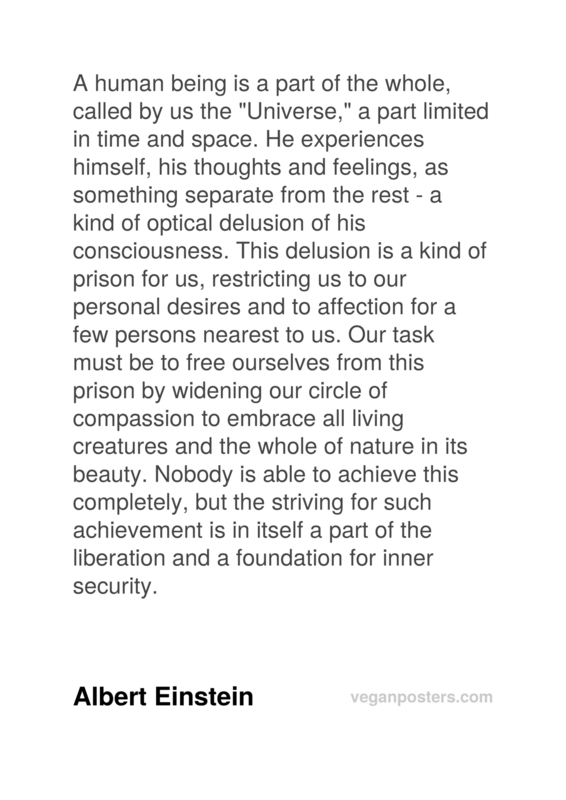 A human being is a part of the whole, called by us the "Universe," a part limited in time and space. He experiences himself, his thoughts and feelings, as something separate from the rest - a kind of optical delusion of his consciousness. This delusion is a kind of prison for us, restricting us to our personal desires and to affection for a few persons nearest to us. Our task must be to free ourselves from this prison by widening our circle of compassion to embrace all living creatures and the whole of nature in its beauty. Nobody is able to achieve this completely, but the striving for such achievement is in itself a part of the liberation and a foundation for inner security.
