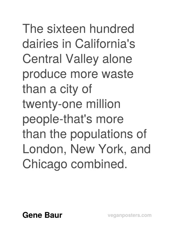 The sixteen hundred dairies in California’s Central Valley alone produce more waste than a city of twenty-one million people-that’s more than the populations of London, New York, and Chicago combined.