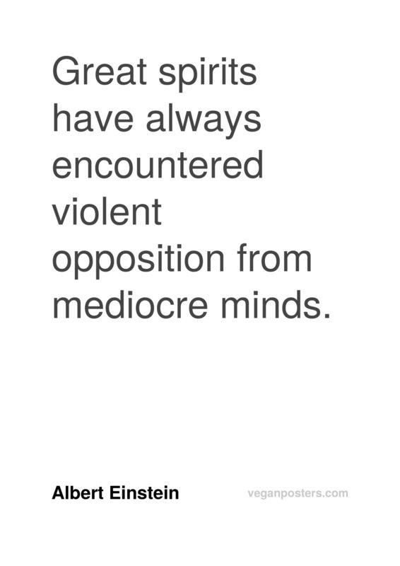 Great spirits have always encountered violent opposition from mediocre minds.