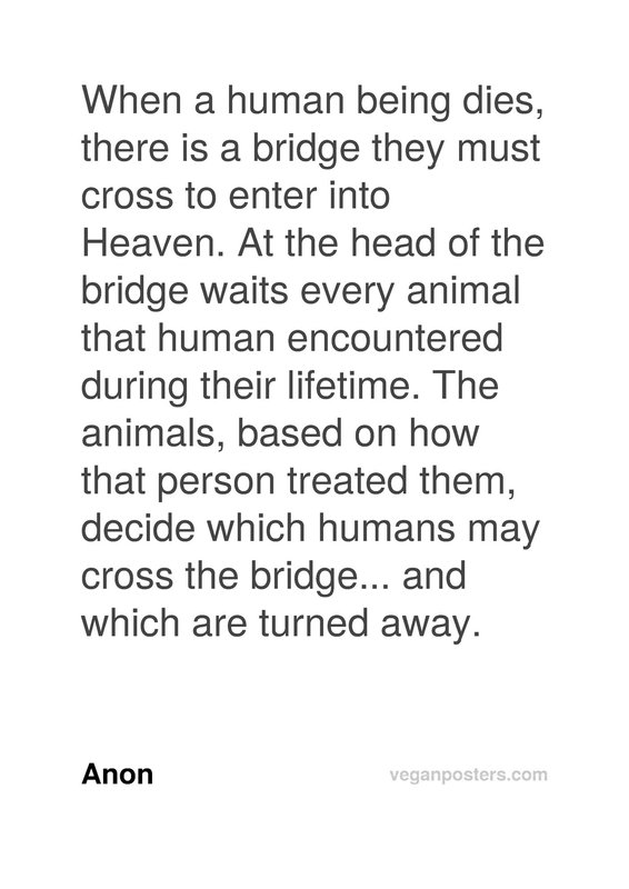 When a human being dies, there is a bridge they must cross to enter into Heaven. At the head of the bridge waits every animal that human encountered during their lifetime. The animals, based on how that person treated them, decide which humans may cross the bridge… and which are turned away.