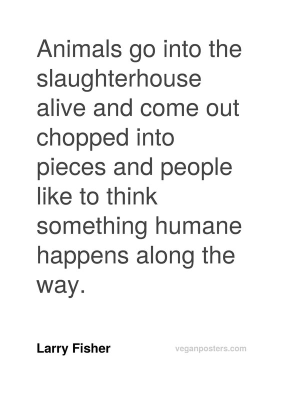 Animals go into the slaughterhouse alive and | Vegan Posters