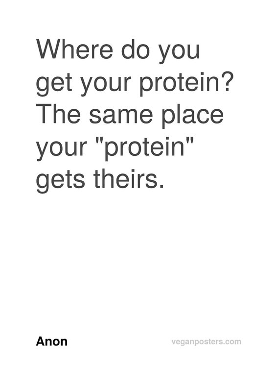 Where do you get your protein? The same place your "protein" gets theirs.