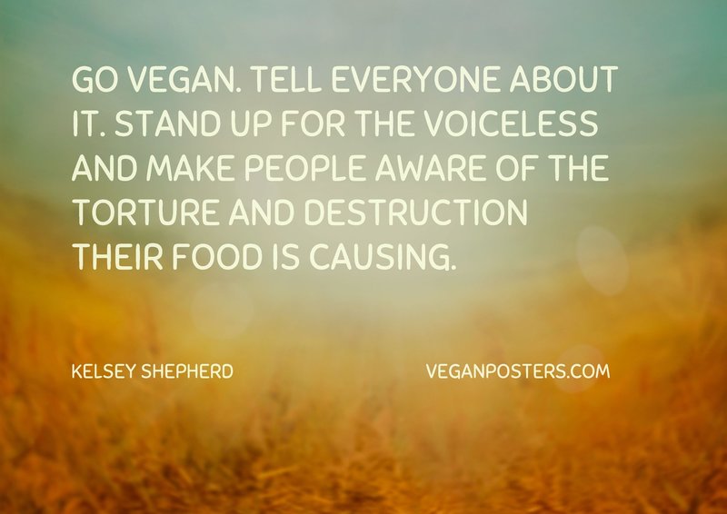Go vegan. Tell everyone about it. Stand up for the voiceless and make people aware of the torture and destruction their food is causing.