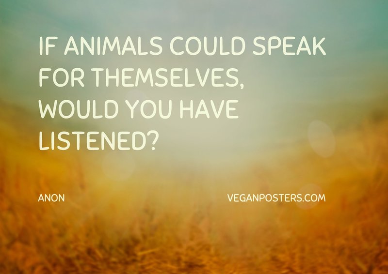If animals could speak for themselves, would you have listened?