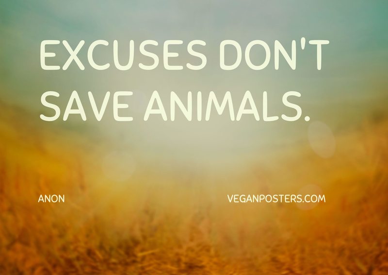 Excuses don't save animals.