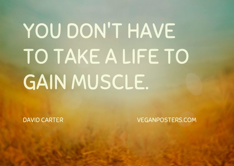You don't have to take a life to gain muscle.