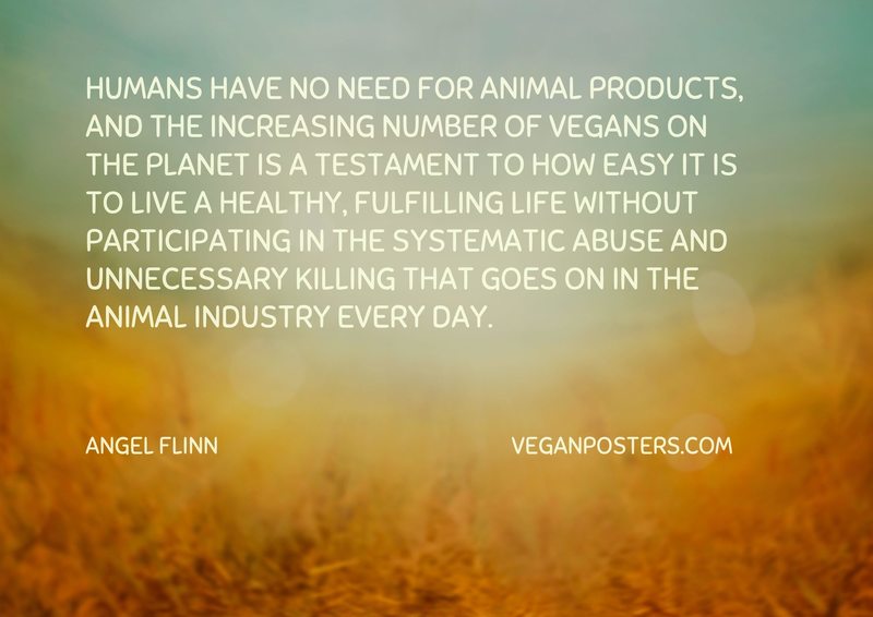 Humans have no need for animal products, and the increasing number of vegans on the planet is a testament to how easy it is to live a healthy, fulfilling life without participating in the systematic abuse and unnecessary killing that goes on in the animal industry every day.