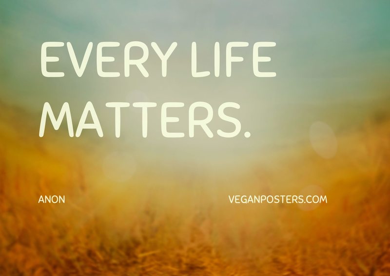 Every life matters.