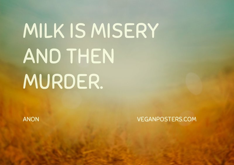 Milk is misery and then murder.