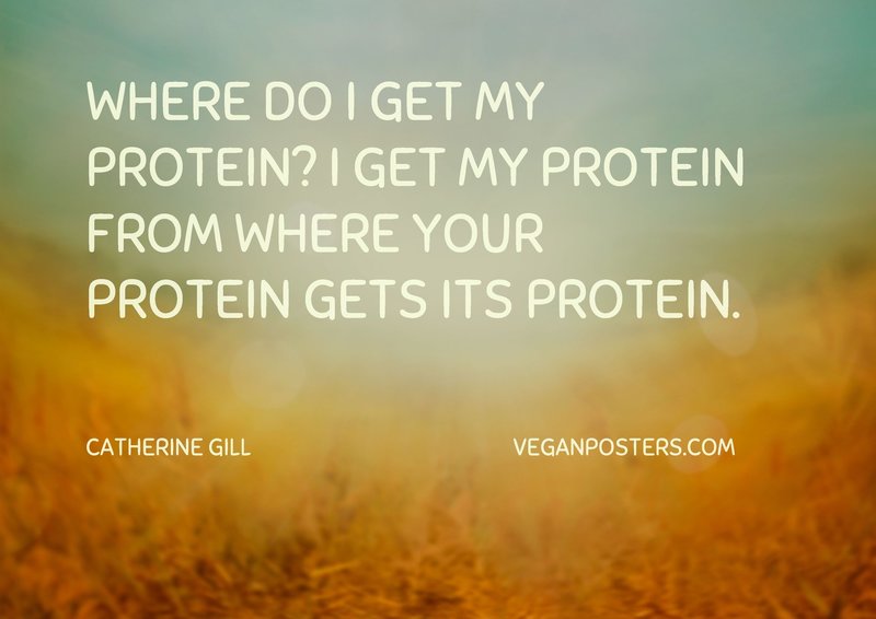 Where do I get my protein? I get my protein from where your protein gets its protein.