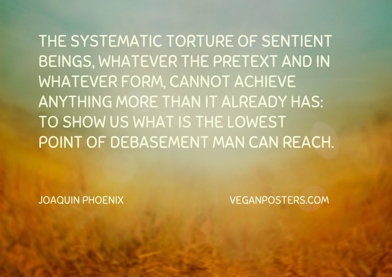 The systematic torture of sentient beings, whatever the pretext and in whatever form, cannot achieve anything more than it already has: to show us what is the lowest point of debasement man can reach.
