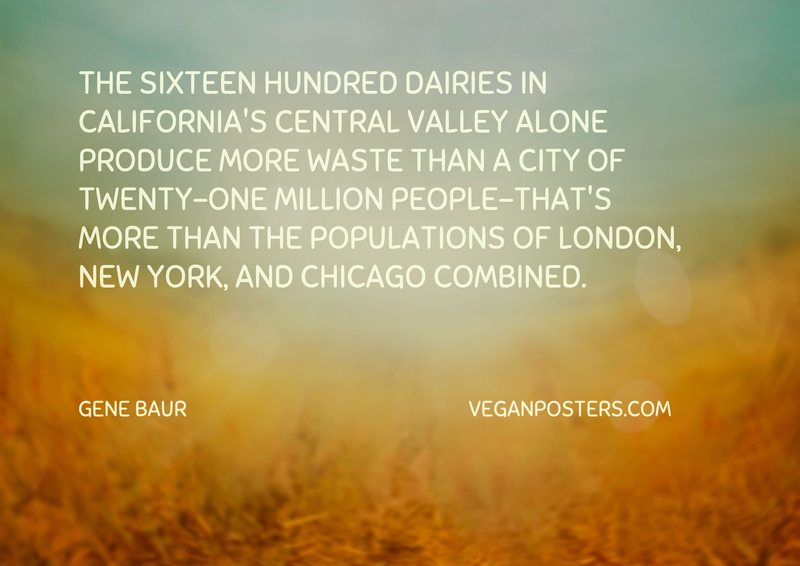 The sixteen hundred dairies in California’s Central Valley alone produce more waste than a city of twenty-one million people-that’s more than the populations of London, New York, and Chicago combined.